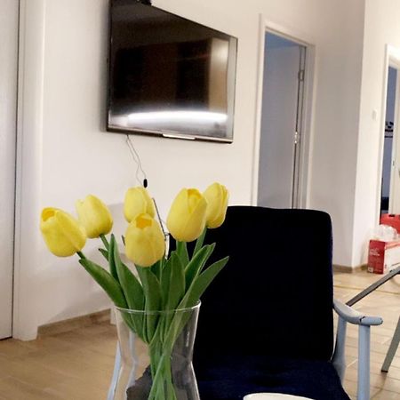 Vanja Apartman Vrsac Exterior foto