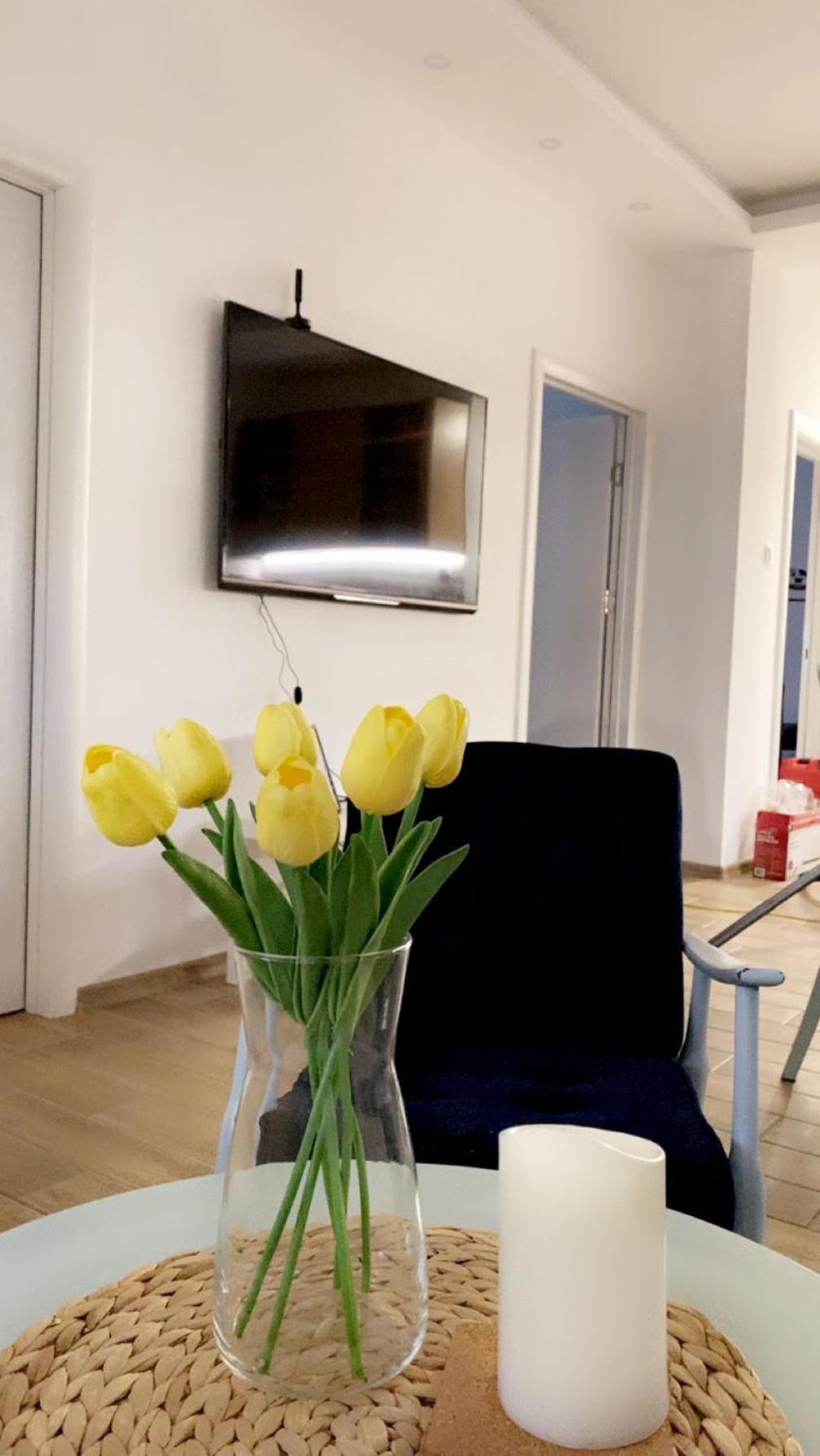 Vanja Apartman Vrsac Exterior foto